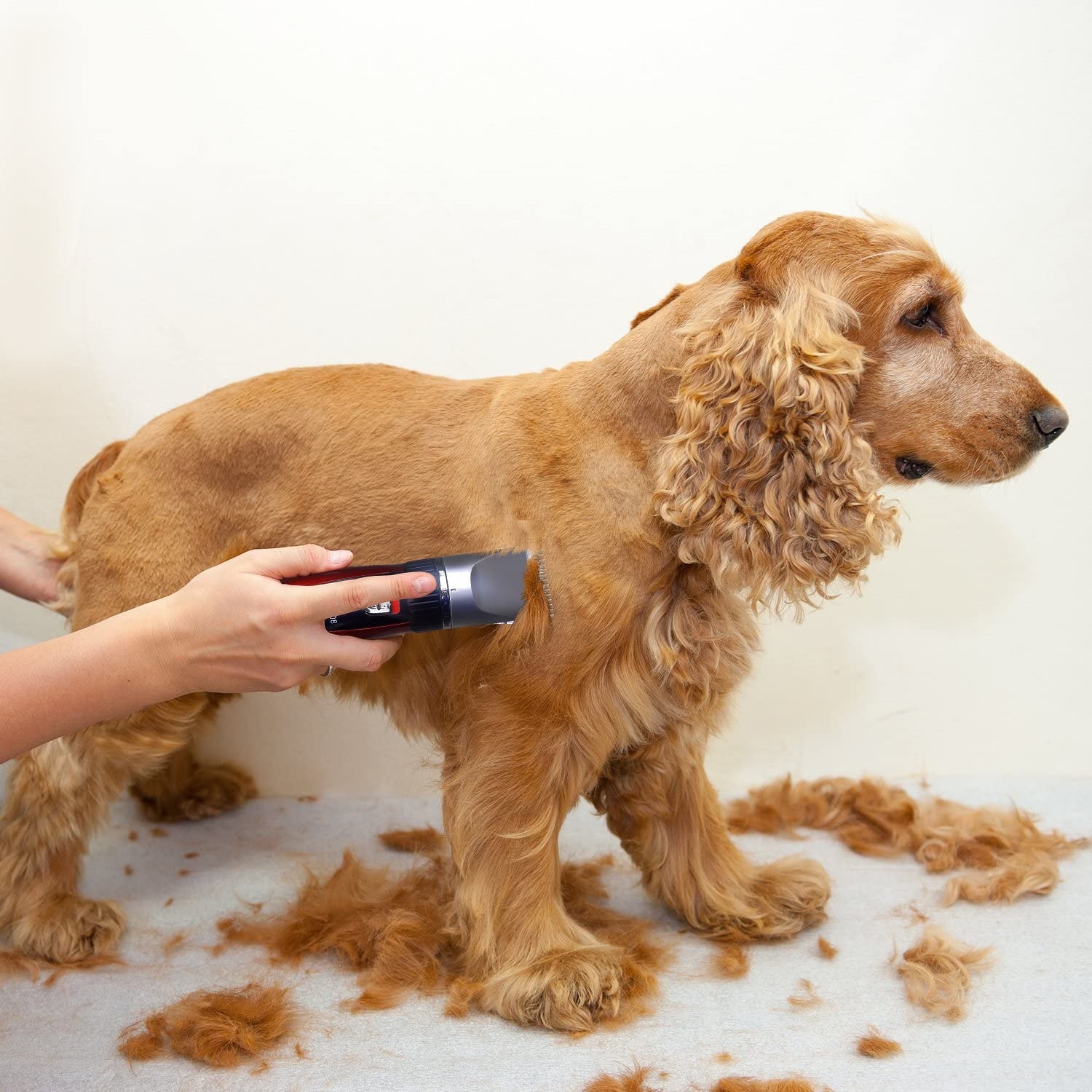 TOSATRICE PER CANI Professionale Per Animali Domestici